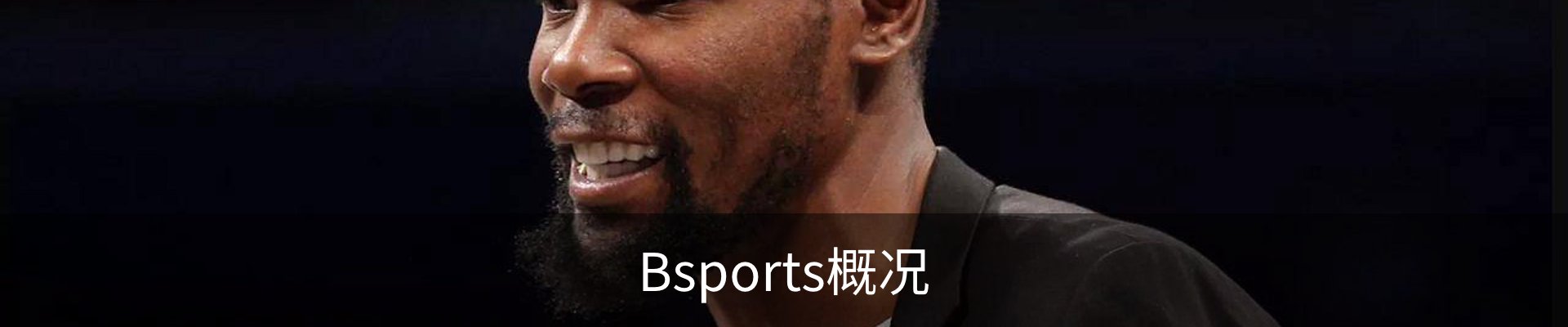 Bsports概况